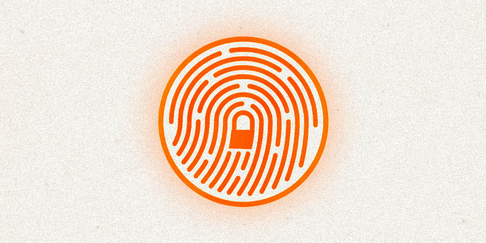 Biometric Security A Deep Dive into Passwordless Authentication and
